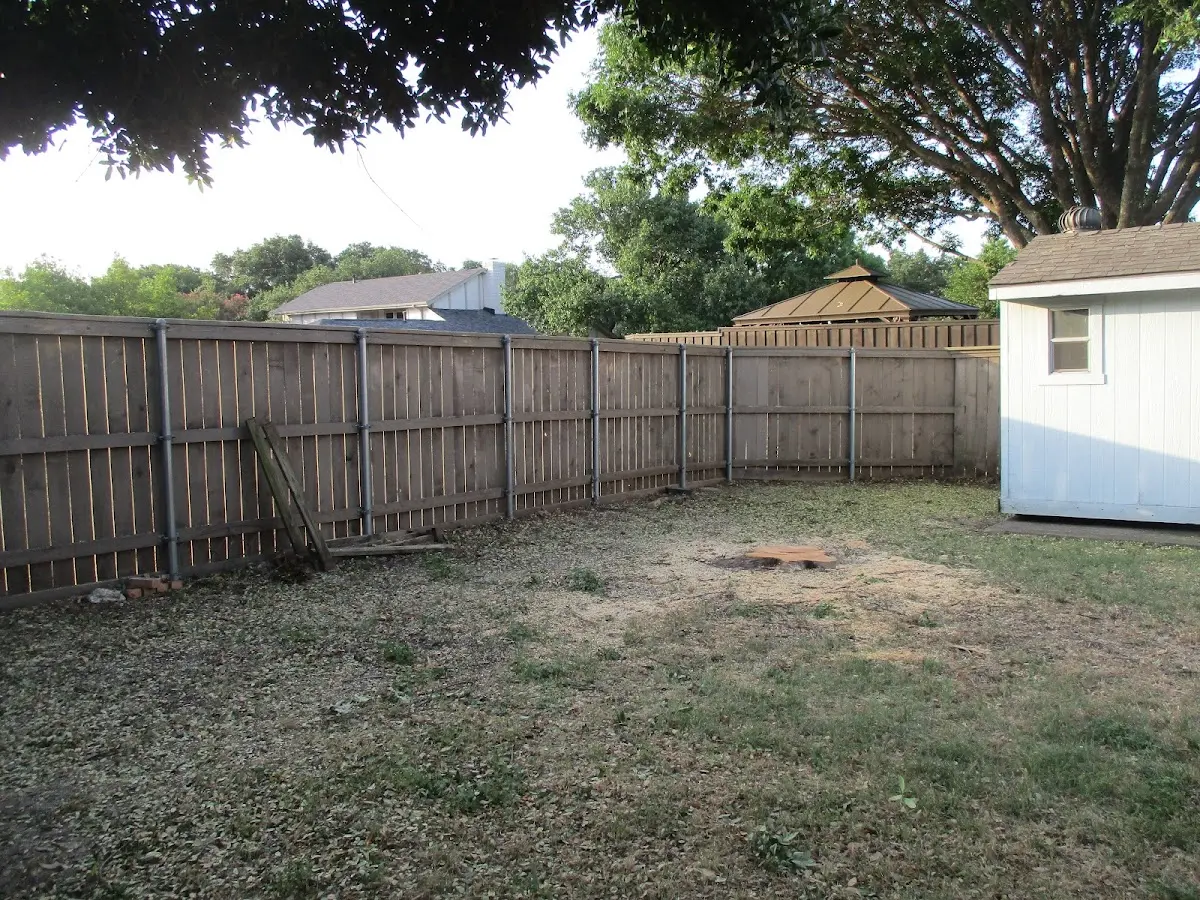 Cleared yard after professional tree removal in Chilmark