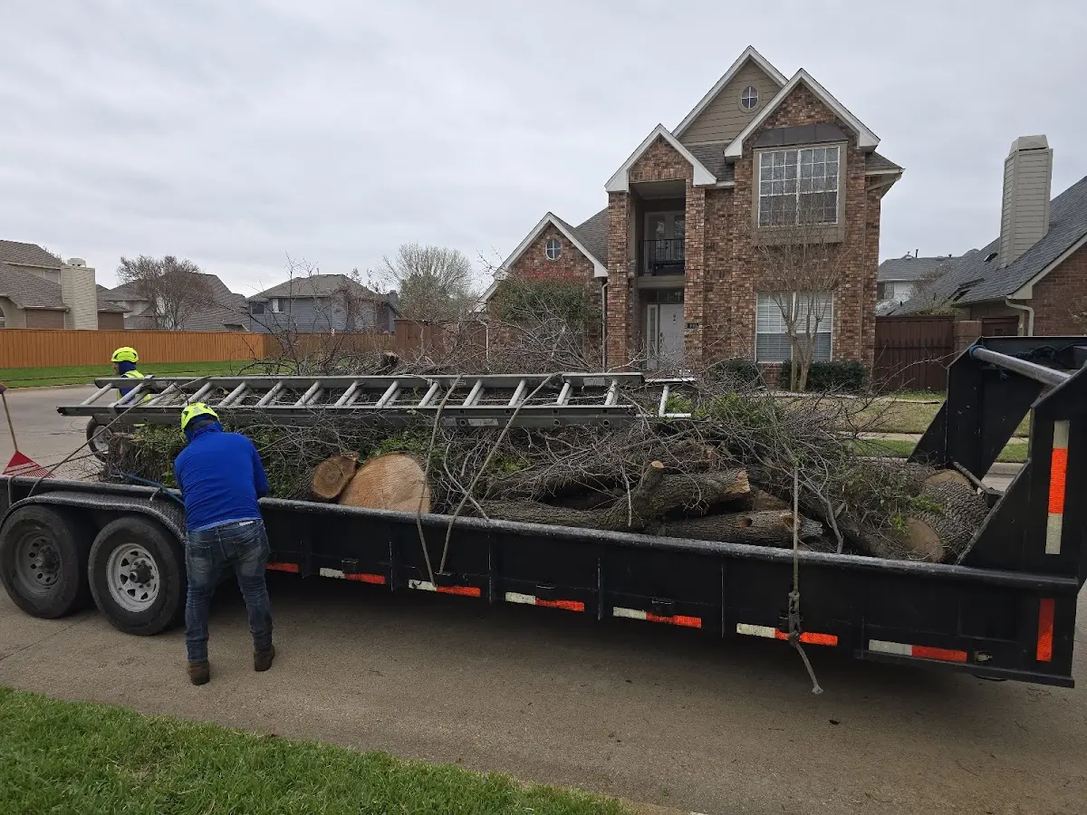 Expert Tree Removal with proper safety equipment in Chilmark